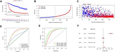 An m6A/m5C/m1A/m7G-Related Long Non-coding RNA Signature to Predict Prognosis and Immune Features of Glioma